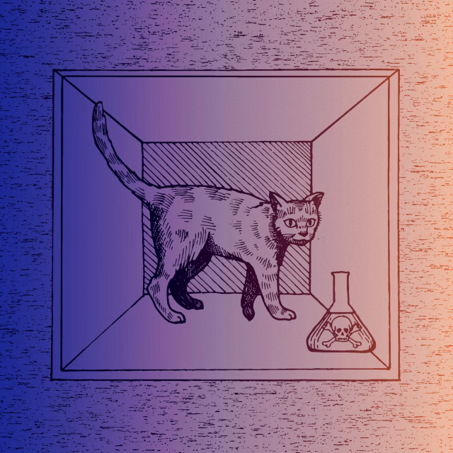 Cambiare Paradigma Sulla Realtà - i corsi di Lucy